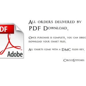 Puede incluir: Fondo blanco con texto e icono PDF. El texto indica que todos los pedidos se entregan mediante descarga de PDF y que los archivos de gr&aacute;ficos se pueden descargar despu&eacute;s de la compra. Tambi&eacute;n menciona que todos los gr&aacute;ficos vienen con una clave de hilo DMC.
