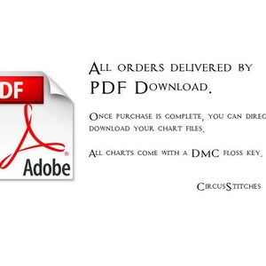 以下が含まれることがあります： 白い背景に黒いテキストで「ALL ORDERS DELIVERED BY PDF DOWNLOAD. ONCE PURCHASE IS COMPLETE, YOU CAN DIRECTLY DOWNLOAD YOUR CHART FILES. ALL CHARTS COME WITH A DMC FLOSS KEY, CIRCUSSTITCHES」と書かれています。画像には赤いAdobe PDFロゴも含まれています。