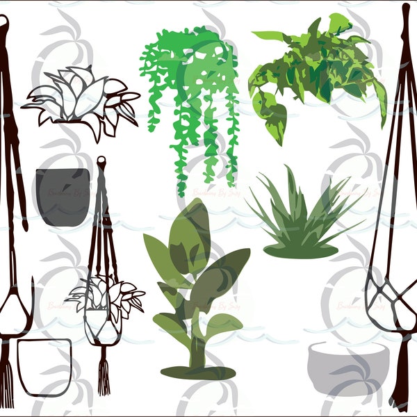 Plant Cutting File - Hanging Plant SVG - String of Pearl Plant - Travelers Palm - Aloe - Pothos - SVG files for Cricut or Silhouette - PNG