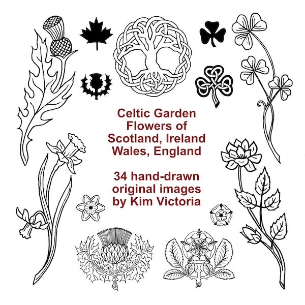 Flowers Printables, Scotland Ireland Wales England, 34 Hand-Drawn Clip Art Illustrations, Digital Download, Thistle Shamrock Rose Daffodil