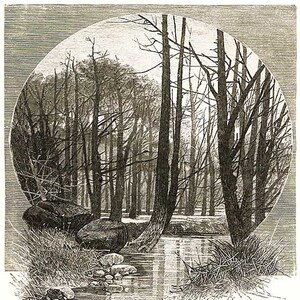 Imprimables, Téléchargement numérique 7 Illustrations de scènes d’eau et de forêt avec cadres, clipart victorien vintage, collage numérique