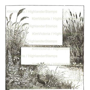 Imprimables, téléchargement numérique cadres de marais de quenouilles, illustration, bordure, clipart victorien vintage, collage numérique