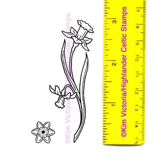 Daffodil Rubber Stamp #448D plus mini #062, Wales, Wesh, Flower, Floral, Celtic Garden