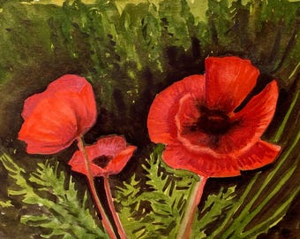 Red Goliath Poppies Watercolor Painting