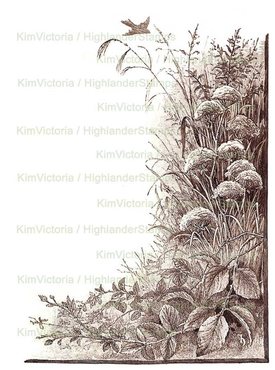 Weeds Printables, Digital Download Rosdside Bouquet Frame, Illustration ...