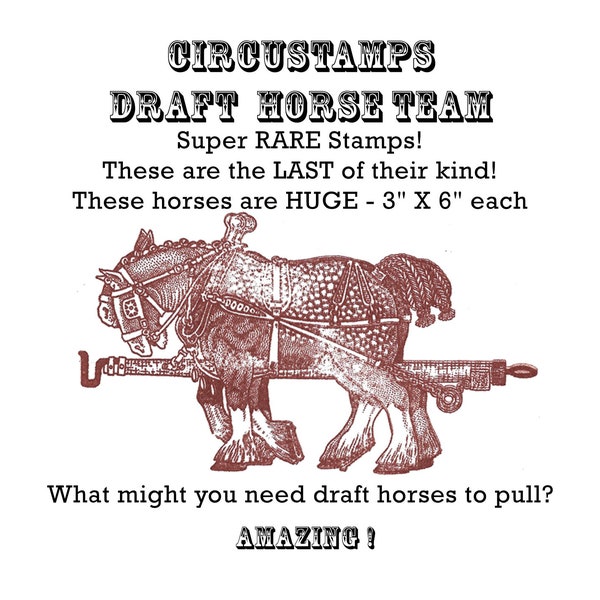 Draft Horse Teams, Percherons, Clydesdales, Circus wagon horses, only 1 team left