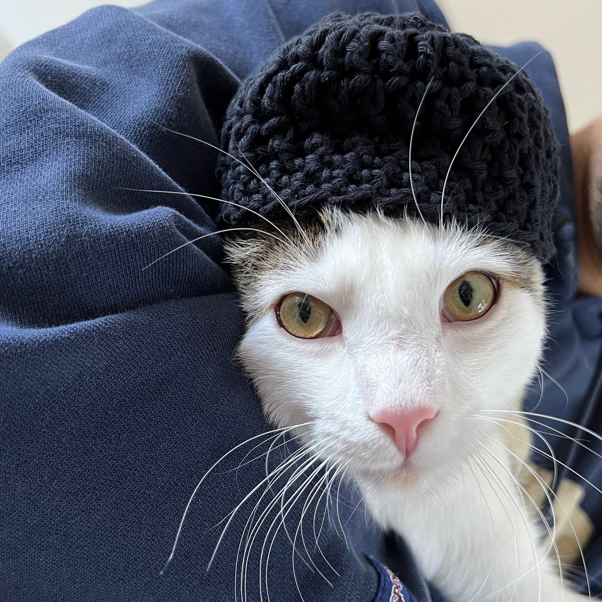 andwang/Fluffy cat knit hat/ニット帽 韓国 AWESOME NEEDS】HANDICRAFT KNIT CAT HAT (AWESOME NEEDS/ニット