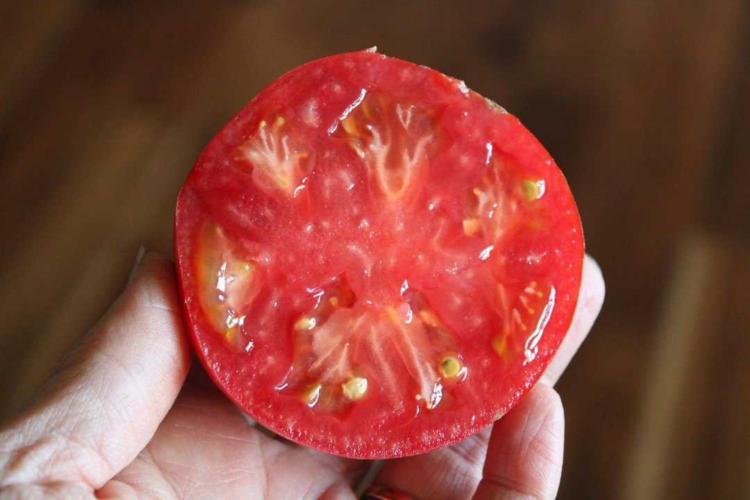 Cosmonaut Volkov Tomato Seeds BULK ORDER Beefsteak Tomatoes, Heirloom