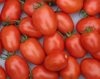 La Roma Tomato Seeds - Italian Paste tomato, Roma tomatoes, Red tomatoes, Heirloom tomatoes, "La Roma" tomato, Paste tomato