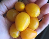 Yellow Pear Tomato Seeds - Yellow tomatoes, Heirloom tomatoes, Organic tomatoes, Non-GMO, Rare tomatoes, Cherry tomatoes, Pear Shaped Tomato