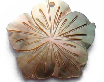 1 Pendentif Un Trou Fleur Hibiscus Stylisé 34 Cm Nacre Etsy