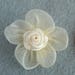see more listings in the Embellissements & fleurs section