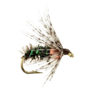 Bead Head Soft Hackle Peacock - Caddis Flies for Trout Fly Fishing