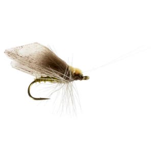 Caddis Adult - Dry Flies for Trout Fly Fishing
