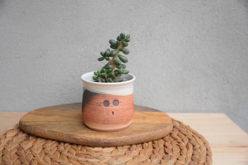 Harry Potter PlanterPotter Head Funny Cactus Planter Unique Ceramic Succulent Planter Brukiestudio Brukie Studio