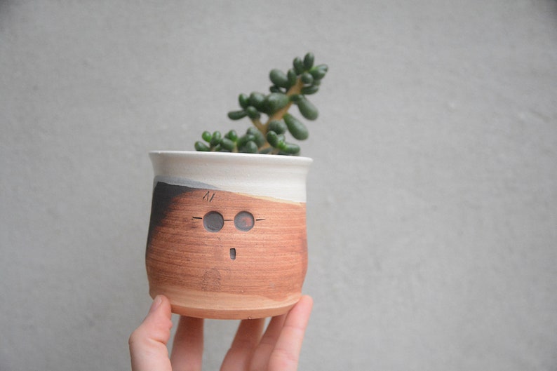 Harry Potter PlanterPotter Head Funny Cactus Planter Unique Ceramic Succulent Planter Brukiestudio Brukie Studio