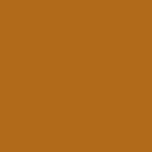 May include: A plain background in a rich, warm brown hue. The colour is consistent throughout the image, providing a simple and uniform appearance.