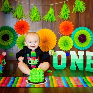 FIRST birthday fiesta onesie/shirt, Fiesta ONE, UNO birthday