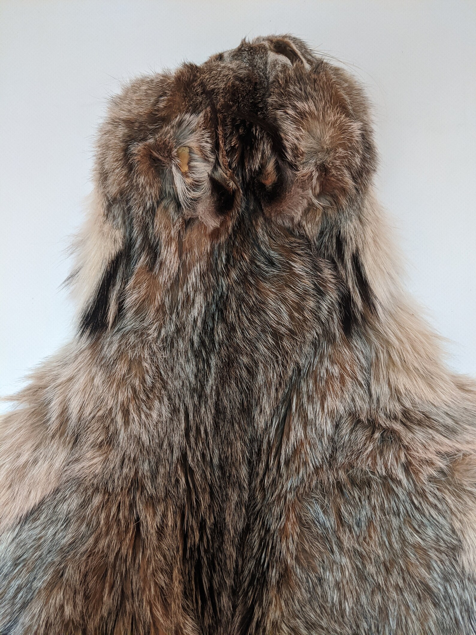 Lynx tanned pelt North American lynx fur supplies and tools Etsy