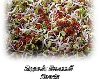 Organic Sprouting Broccoli Sprouts Seeds - 1 oz Amazing Sprouts Non GMO!