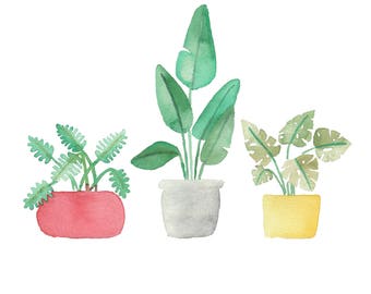 Tropical Plants, Bird of Paradise, Philodendron, Monstera, Watercolor Plants, Potted Plants
