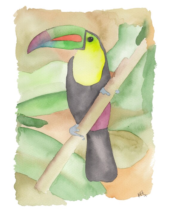 Tropical Toucan Watercolor Jungle