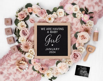 Girl Digital Pregnancy Announcement, It's a Girl Template for Social Media Instagram & Facebook,  Baby Girl Announcement, Gender Reveal