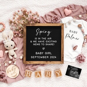 May include: A pink and white baby announcement with a letter board that reads "Spring is in the air & we have exciting news to share! Baby Girl September 2024". There is a white onesie with the text "Baby Palmer" and a pink and white crocheted bunny.