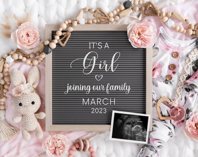 Digital Pregnancy Announcement | Baby Girl Announcement  | It's a Girl Gender Reveal | Digital Baby Reveal | Instagram Pregnancy | Corjl