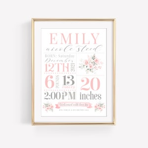 May include: A pink and gray baby announcement print with the name "EMILY nicole steed" and birth details: born on Saturday, December 12th, 2021, 6 pounds 13 ounces, 20 inches long, at 2:00 PM. The print features a floral design with pink roses and green leaves.