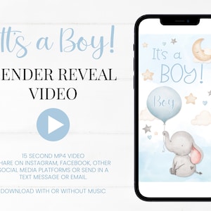 Video di rivelazione digitale del genere del ragazzo / È un ragazzo / Video di annuncio di genere per i social media / Confetti Pop / Download istantaneo