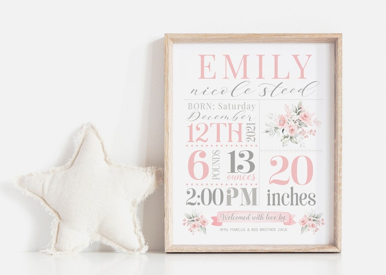 May include: A pink and gray baby birth announcement print with floral accents. The print includes the baby's name, Emily Nicole Steed, birth date, December 12th, 2021, and birth weight, 6 pounds and 13 ounces. The print also includes the baby's length, 20 inches, and the time of birth, 2:00 PM. The print is framed in a light wood frame.