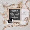 Digital Pregnancy Announcement - Baby Announcement - We've Been Keeping a Secret Baby Reveal - Digital Download - Instant Download
