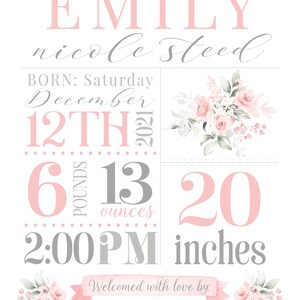 May include: Pink and gray baby announcement poster with the name Emily Nicole Steed, born on December 12th, 2021 at 2:00 PM. She weighed 6 pounds and 13 ounces and was 20 inches long. The poster also includes a floral design and the text "Welcomed with love by Amy, Marcus & Big Brother Jack."