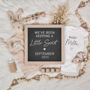 Digital Pregnancy Announcement Baby Announcement We've Been Keeping a Secret Baby Reveal Digital Download Instant Download image 5