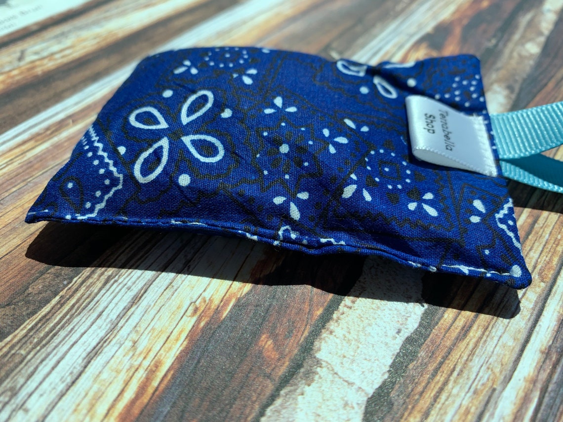 How to make bag smell good xpresswave