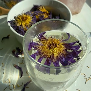 Egyptian Blue Lotus Tea | Organic Blue Lily Flower Herbal Tea | Lucid Dreaming, Relaxation, Aphrodisiac | Loose Leaf Blue Lotus