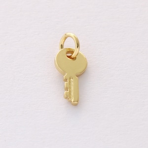 Pode incluir: Um amuleto de chave dourado com um buraco de fechadura redondo e um design simples. O amuleto tem um laço na parte superior para prender a um colar ou pulseira.