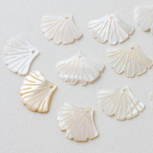 Könnte beinhalten: Eine Sammlung von weißen muschelförmigen Anhängern mit einem Loch oben zum Aufziehen. Die Muscheln haben ein zartes, fächerartiges Design.