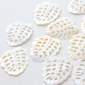 May include: A collection of white, intricately carved, shell leaf charms. The leaves have a delicate, lacy design and are perfect for jewellery making or crafting.