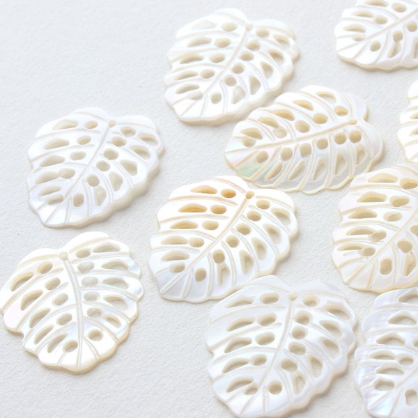 6PCS Natural Shell Charm, Monstera Leaf Shape Shell Pendant, Shell Findings