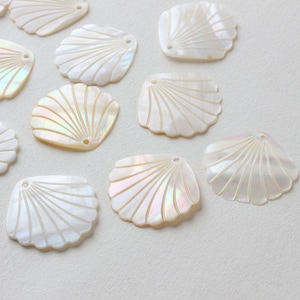 May include: A collection of white iridescent seashells with a fan-shaped design. The shells are arranged on a white surface.
