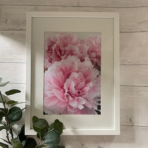 A4 Size (21cm x 29.7cm) Pale Pink Peony Flower Print , Pink Flower, Floral Print,Pink Wall Art.