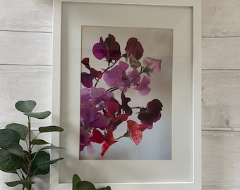 A4 Size (21cm x 29.7cm) Sweet Pea Flower Print , Pink Flower, Floral Print,Pink Wall Art.