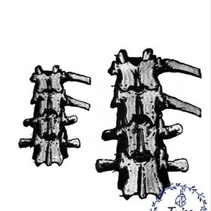 Rücken-Aufnäher, Knochen, großer Aufnäher, bestickter Aufnäher, Skelett, Horror-Aufnäher, Punk-Aufnäher, Goth-Aufnäher, Aufnäher für Jacke