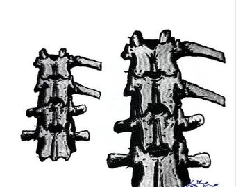 Remendo traseiro da coluna, osso, remendo grande, remendo bordado, esqueleto, remendo de terror, remendo punk, remendo gótico, remendo para jaqueta