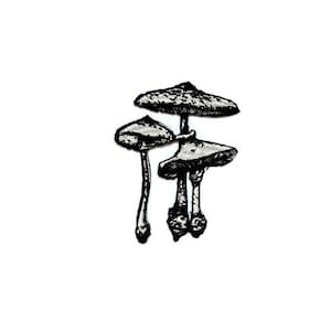 May include: Black and white illustration of three mushrooms with umbrella-shaped caps.
