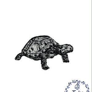 May include: A black and white illustration of a tortoise. The tortoise is depicted in a side profile, showcasing its textured shell and detailed legs. The image is set against a white background, with the text "Taiss Embroidery" in a blue floral wreath.