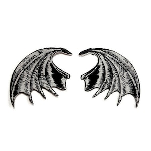 May include: A pair of black and silver embroidered wings with a detailed design. The wings are separated and facing each other.