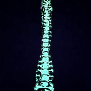 Puede incluir: Un modelo de columna vertebral humana de plástico verde fluorescente. El modelo es detallado y muestra las vértebras individuales.
